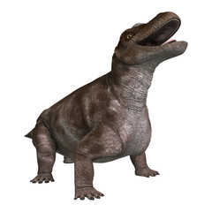 Fototapeta premium 3D Rendering Dinosaur Keratocephalus on White