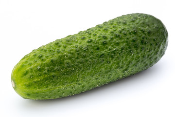 The first spring ecologically cucumbers.