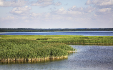 Lake Lyokshmozero at Morshchikhinskaya village. Kargopolsky District. Arkhangelsk Oblast. Russia
