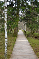 Das Rote Moor (Rh&ouml;n)