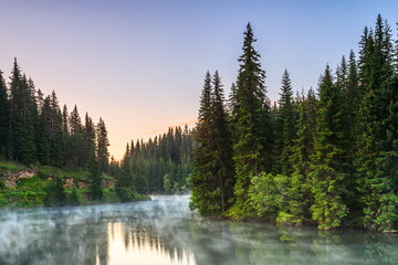 Mountain lake in a green pine forest
