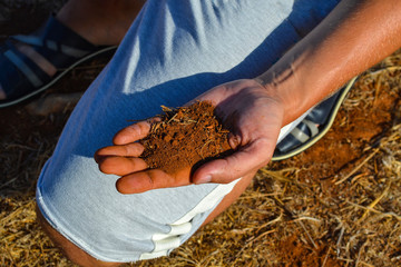 Red earth in the palm of your hand. Cyprus.