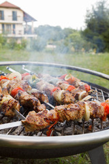 Ready meat barbecue on the skewer on the coals. Color snapshot of meat barbecue with smoke. Russian festive dish