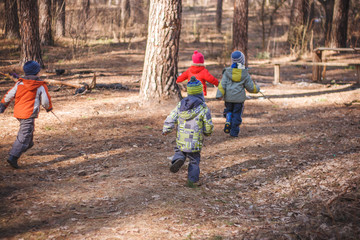 Group of three little kids running in the forest. Early spring pine forest hike in waldorf kindergarten.