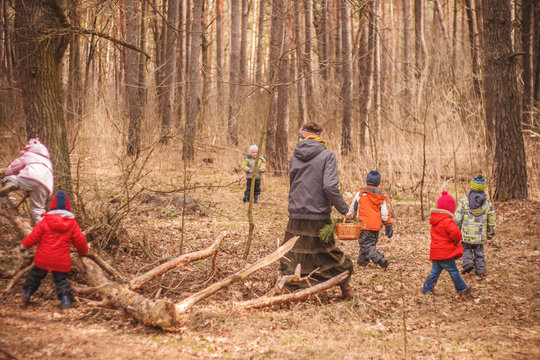 Group Of Six Little Kids With A Kindergartener Running In The Forest And Climbing Trees. Early Spring Pine Forest Hike In Waldorf Kindergarten.