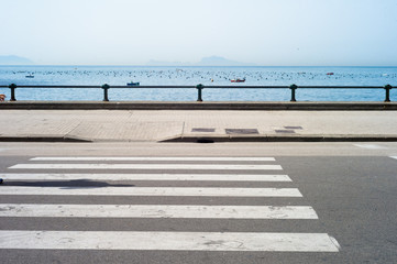 Shadow on zebra crossing