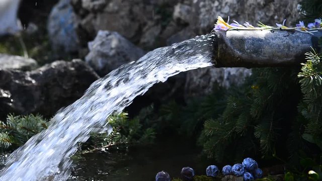 katkısız saf sular