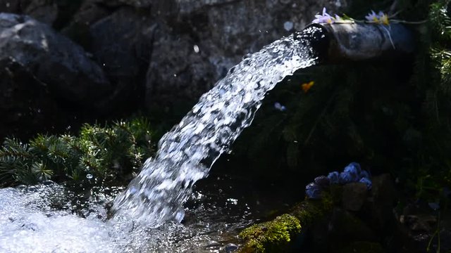 doğada doğal &ccedil;eşme suları