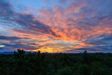 Twilight sky with forest