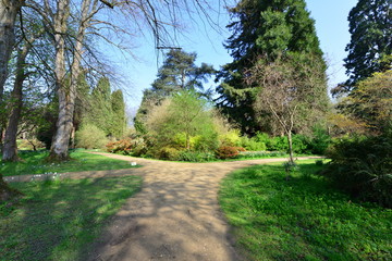 Fototapeta na wymiar The gardens of an English country estate in Springtime. 