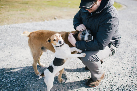 Young man pets two dogs on family farm