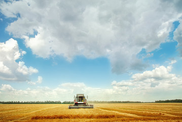 Combine harvester under blue sky