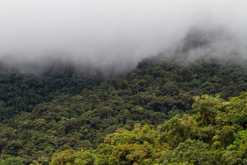 Clouds and forest in the Amazon basin of Bolivia