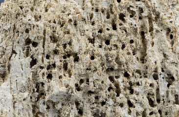 texture riddled rotten pan- background