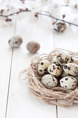 Quail eggs in a nest with spring flowers on a white rustic wooden background. The concept of a healthy diet.