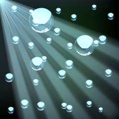 Realistic water bubbles Vector image