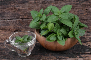 Mint leaves with warm water