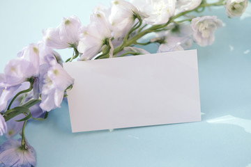 Blank business card mockup with  fresh delphinium flowers on pale blue background.