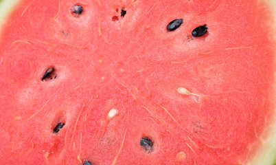 water melon background