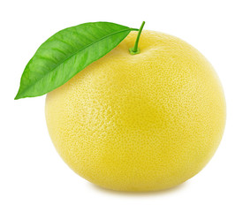 White grapefruit isolated on a white background