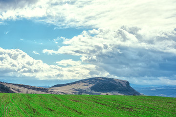 Fototapeta premium sunny day and clouds