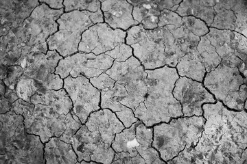 Surface of a grungy dry cracking parched earth for textural background.