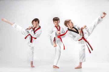 Zelfklevend Fotobehang The studio shot of group of kids training karate martial arts © master1305