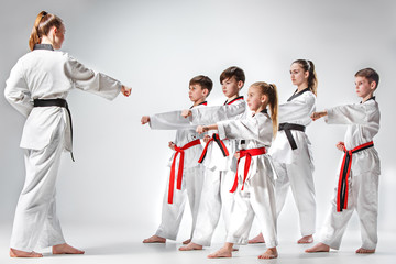 The studio shot of group of kids training karate martial arts