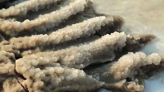 Salt on the shore of Dead Sea in Jordan. White salt deposits of Dead Sea