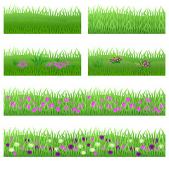 Set of garden flowers in grass