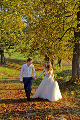 Bride and groom walking at the sunset in autumn. Beauty sunlight, orange leaves and trees in happy wedding day