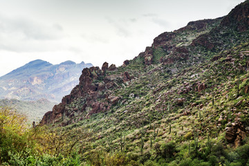 Scenic landscape in desert of Arizona at Tonto National Forest, USA