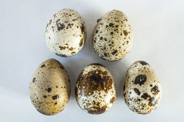 Obraz premium Пять перепелиных яиц