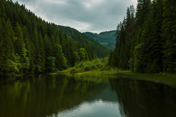 Fototapeta na wymiar Lacul Rosu - Red Lake, Eastern Carpathians, Romania 