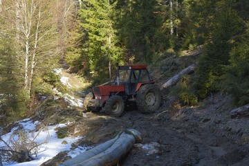 Skidding timber / Tractor is skidding cut trees out of the forest.