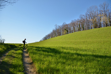 Campagne Voironnaise (Isère)