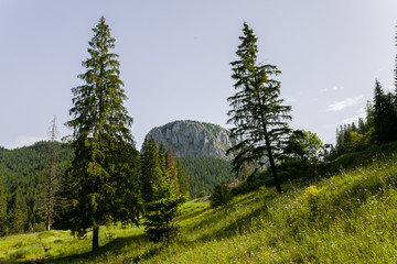 Lacul Rosu - Red Lake, Eastern Carpathians, Romania
