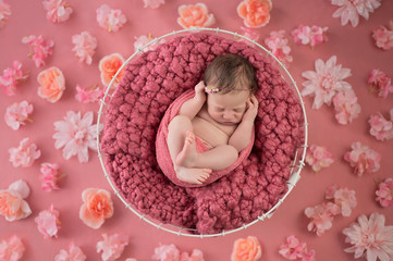 Fototapeta na wymiar Newborn Girl Sleeping in Wire Basket