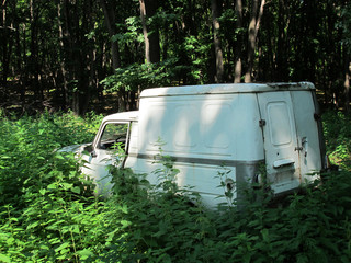 Abandoned cargo car in the summer forest
