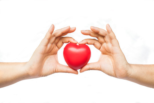 hand holding a red heart on white background