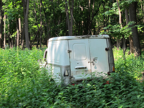 Abandoned cargo car in the summer forest