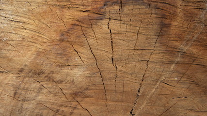 Close-up to crack on surface wood background