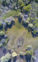 Natura e paesaggio: vista aerea di un bosco e di laghi, verde ed alberi in un paesaggio di natura selvaggia