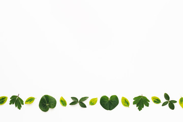 Border With Green Leaves