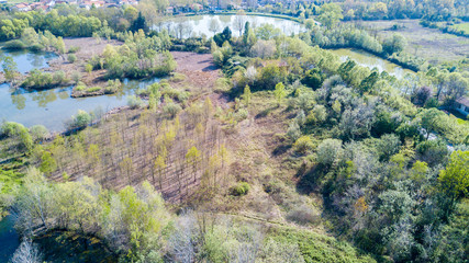 Natura e paesaggio: vista aerea di un bosco e di laghi, verde ed alberi in un paesaggio di natura selvaggia