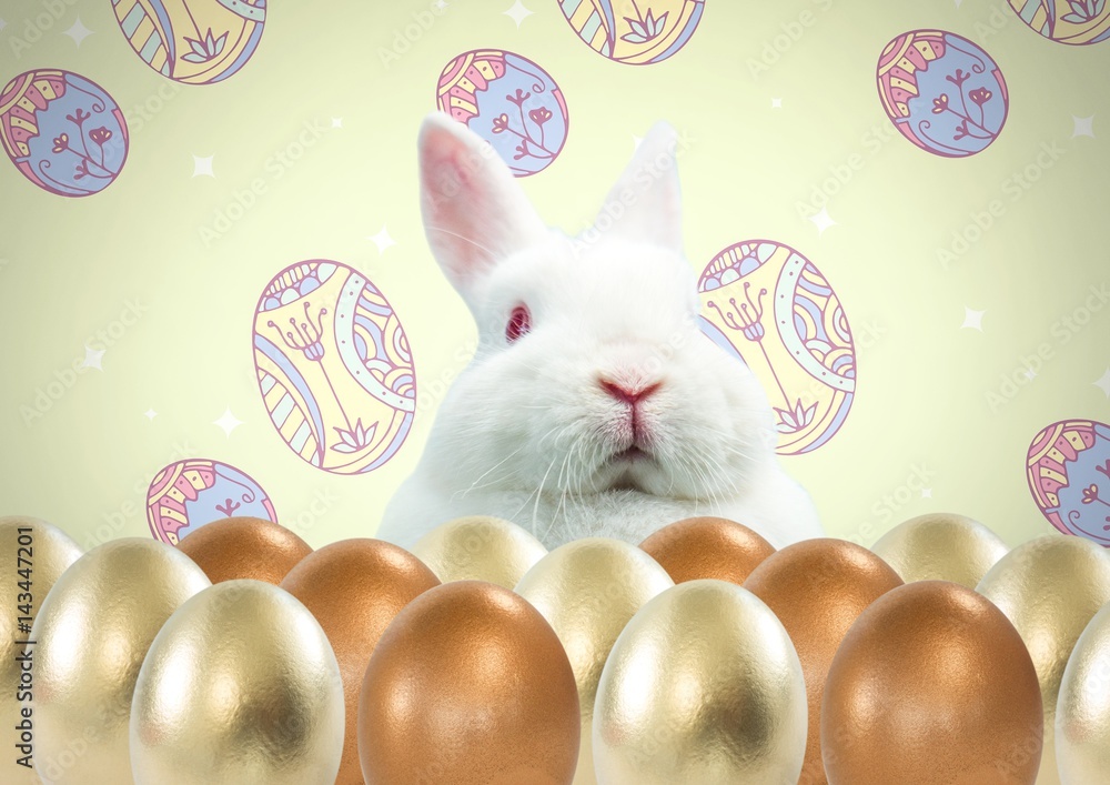 Poster easter rabbit with eggs in front of pattern