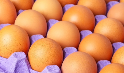 Brown eggs in paper tray on wooden background