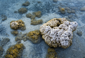 Calcite formations Salda Lake Burdur Turkey