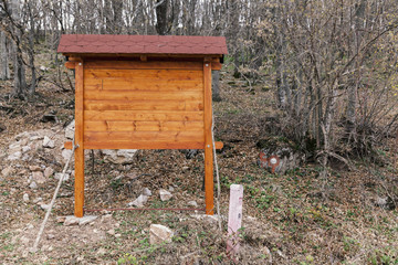 Signposts in the woods