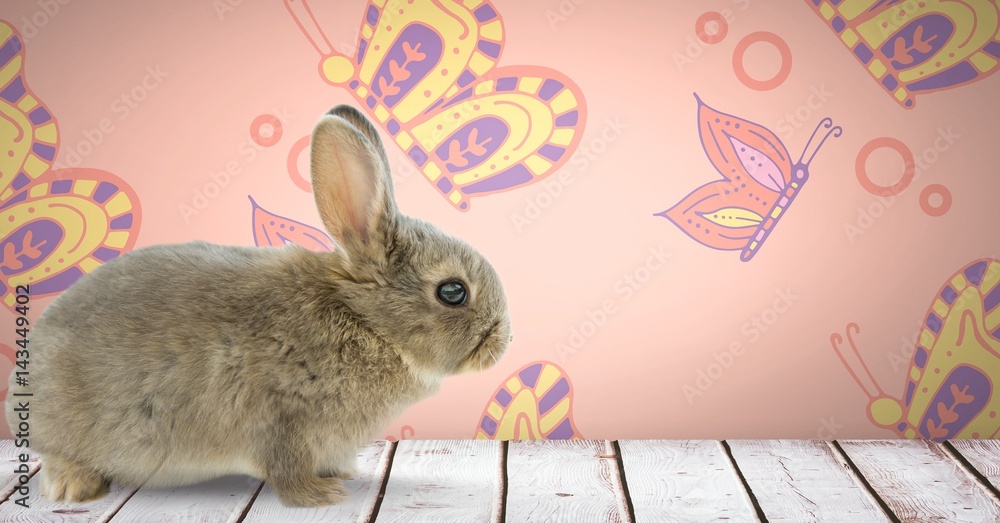Poster easter rabbit in front of pattern